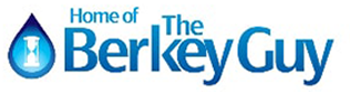 website logo